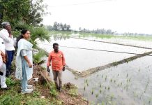 நீரில் மூழ்கிய நெற்பயிர்கள் – ஆட்சியர் நேரில் ஆய்வு
